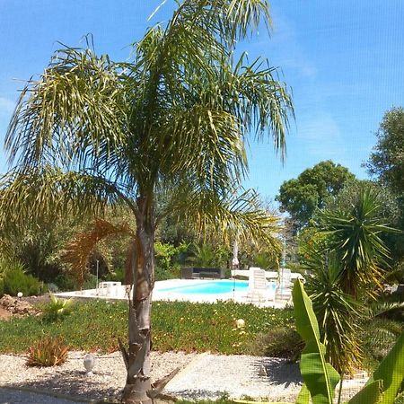 Quinta Laranjal Da Arrabida Bed & Breakfast Palmela Exterior photo
