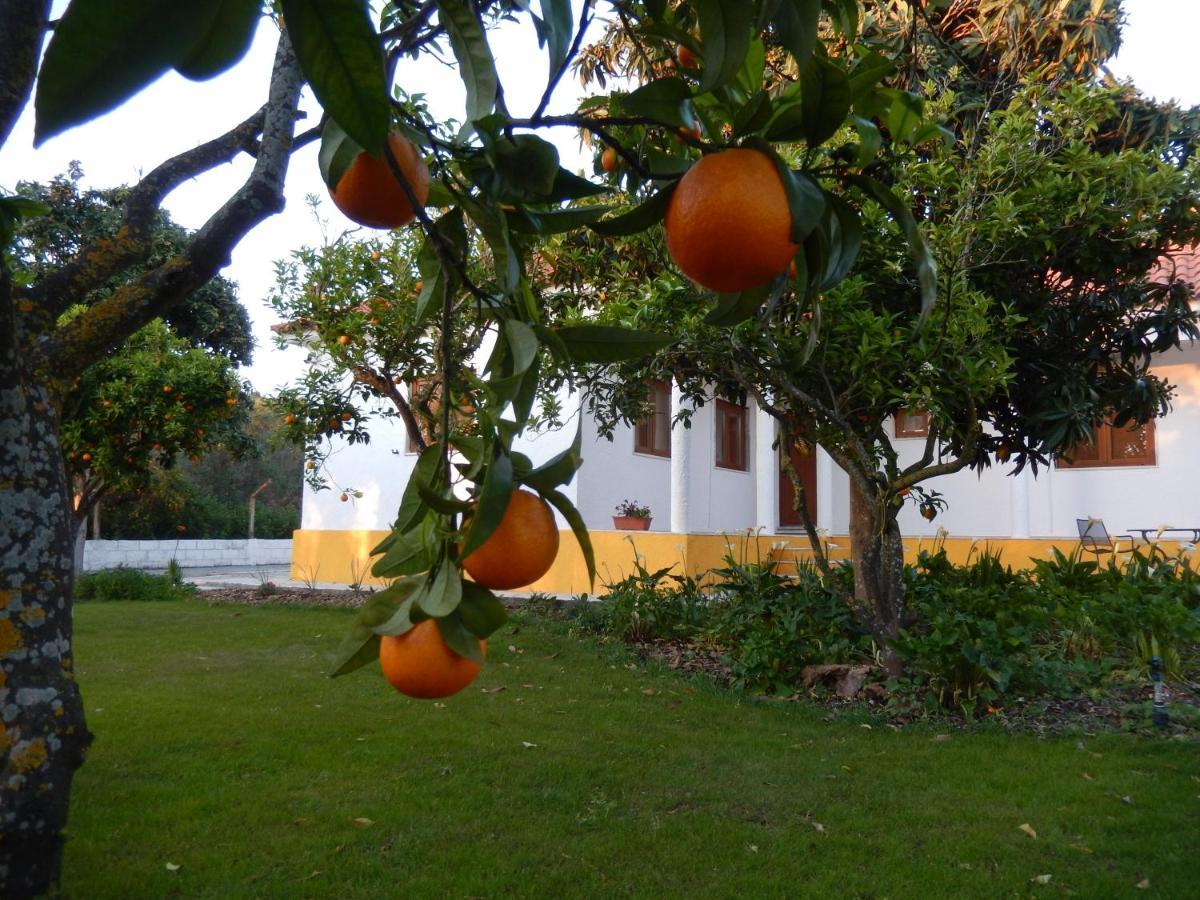 Quinta Laranjal Da Arrabida Bed & Breakfast Palmela Exterior photo