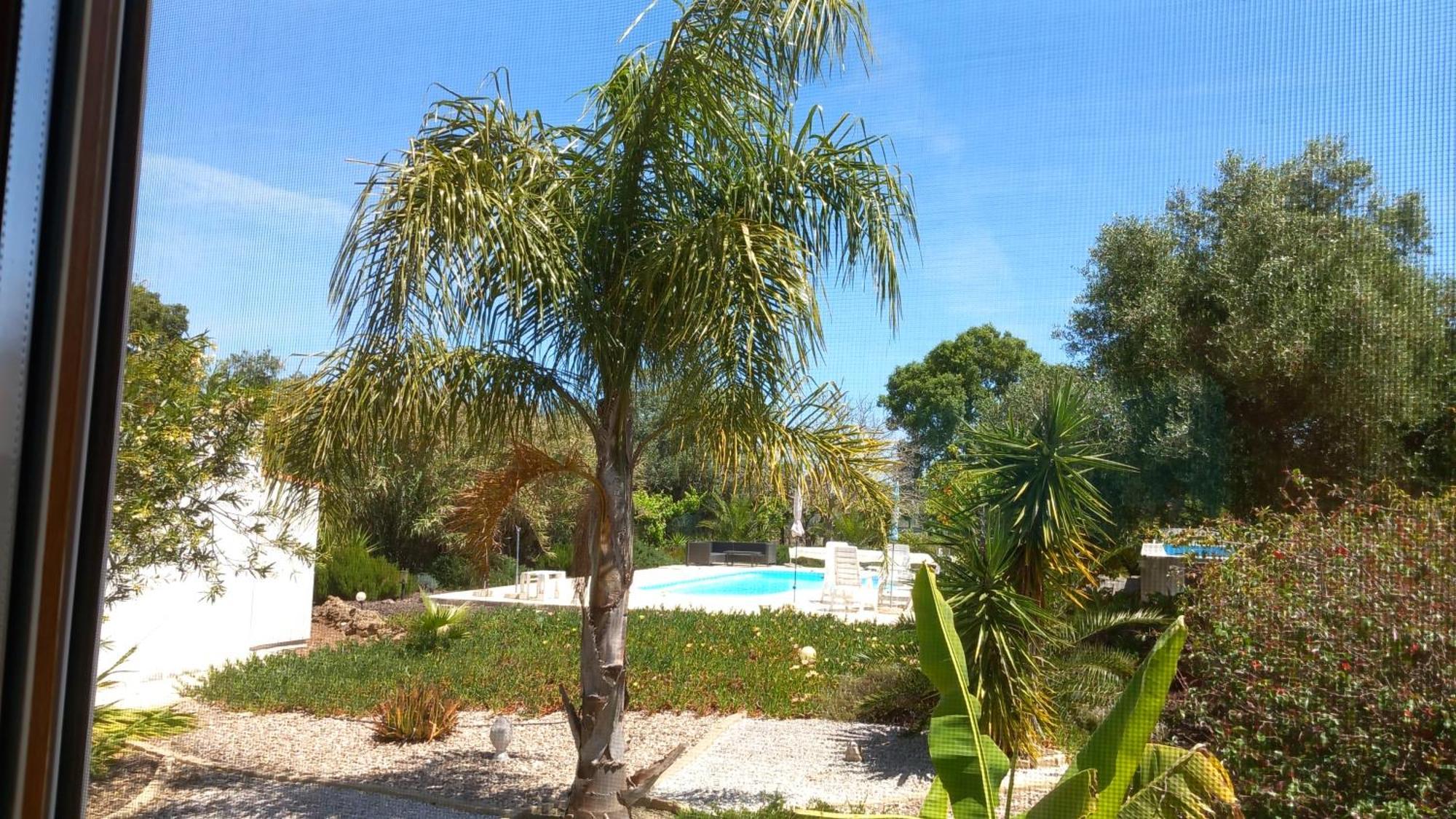 Quinta Laranjal Da Arrabida Bed & Breakfast Palmela Exterior photo